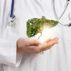 importance-of-your-liver
