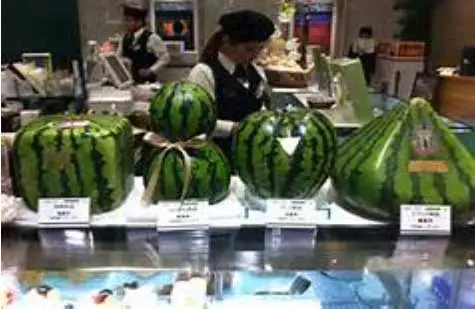 square-watermelons