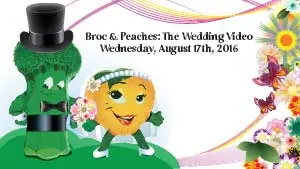wedding-video